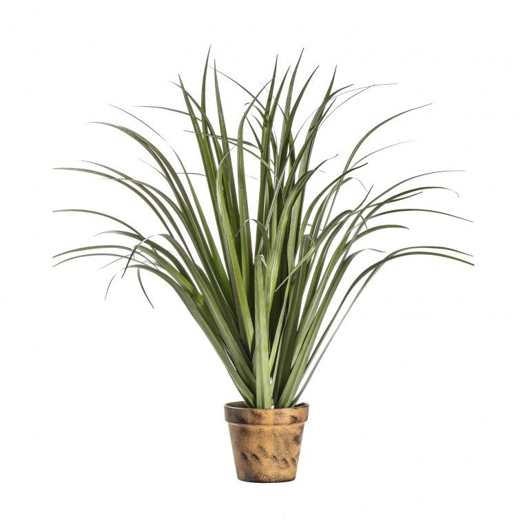 Modern Artificial Dracaena Silver in Cement Pot (Available in 2 Sizes)