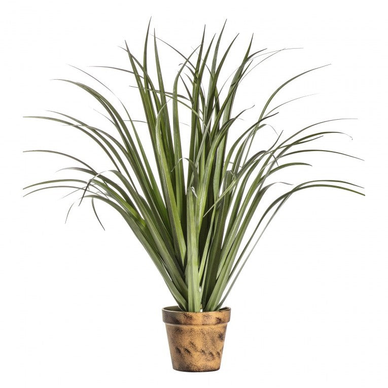 Modern Artificial Dracaena Silver in Cement Pot (Available in 2 Sizes)
