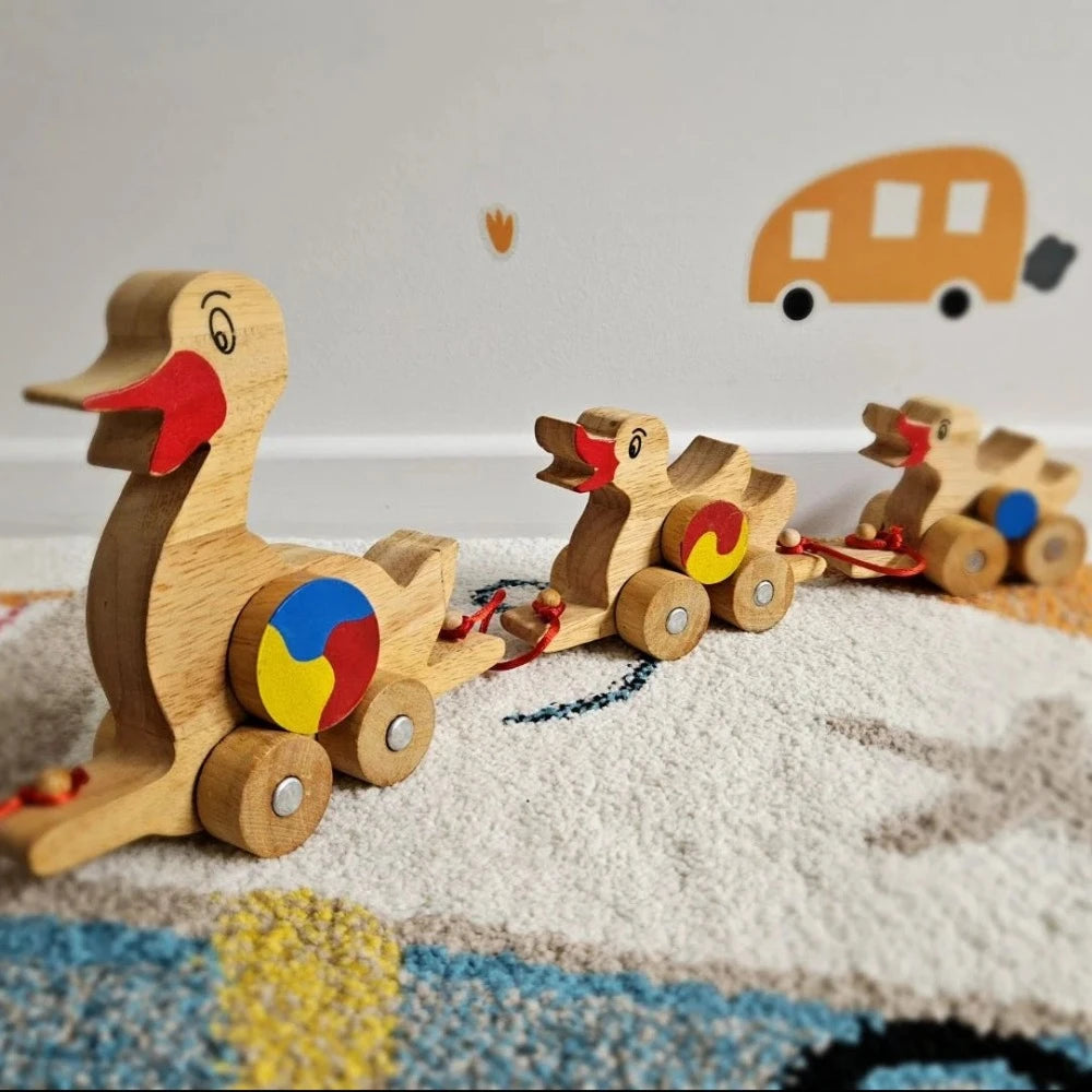 Montessori Wooden Row of Ducks