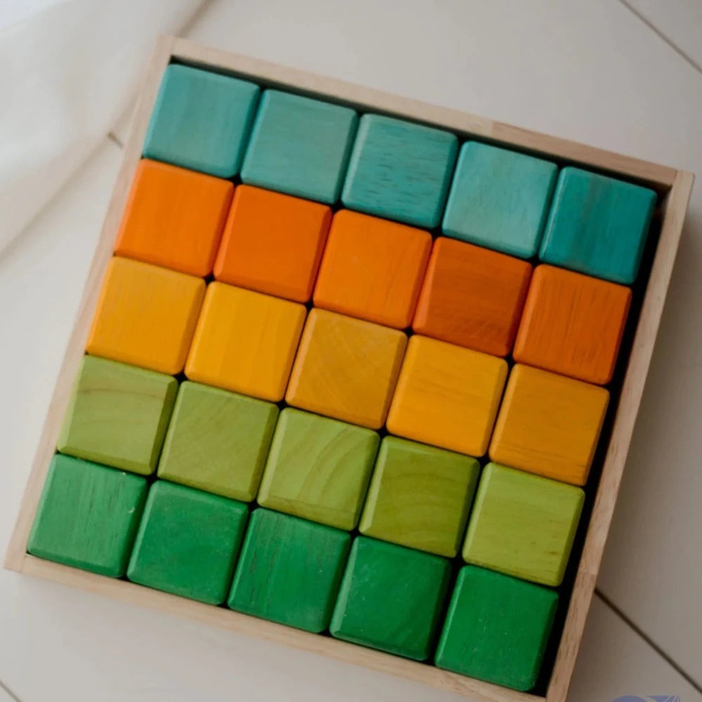Multicolor Wooden First Block Set