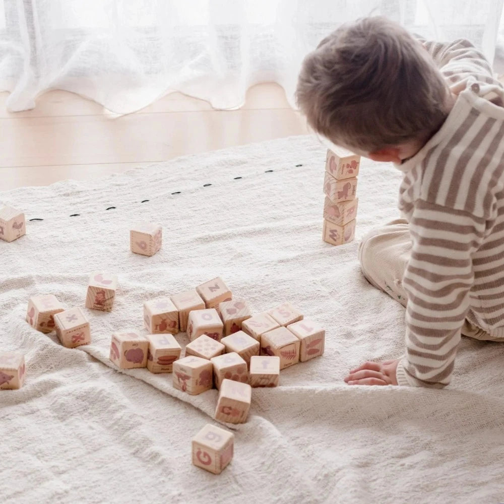 Multifaceted 30 Alphabet Blocks