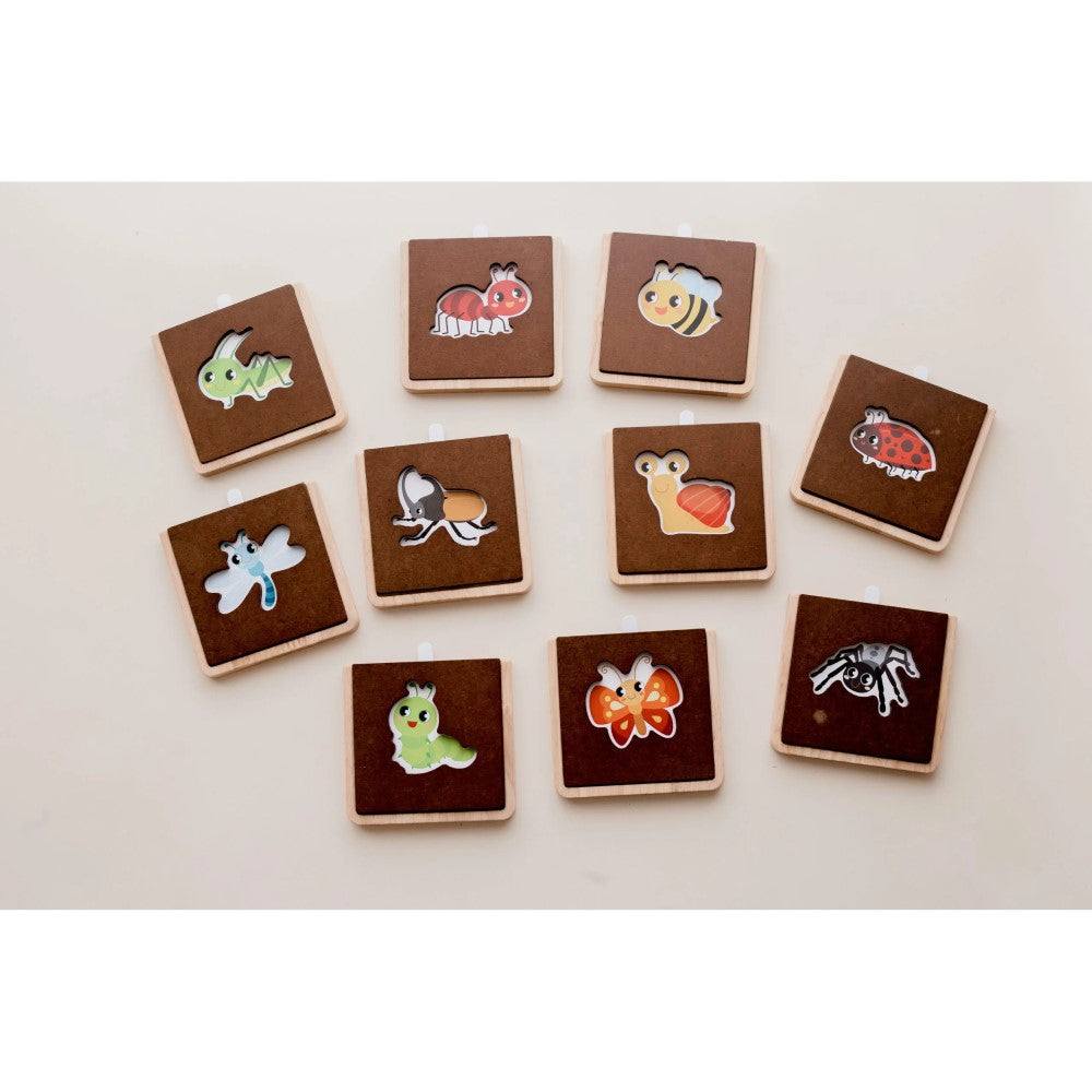 Multipurpose Insect Learning Set - 10 Puzzles