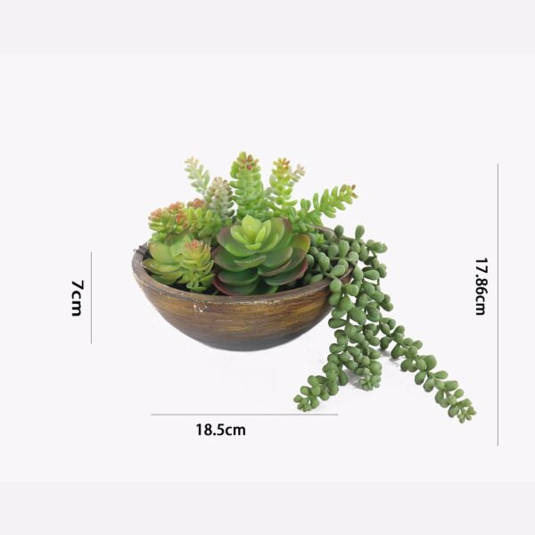 Natural Texture Kaori Mixed Succulent Bowl