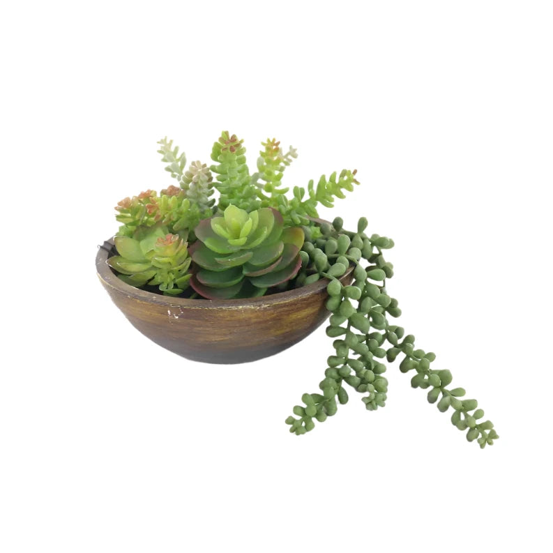 Natural Texture Kaori Mixed Succulent Bowl