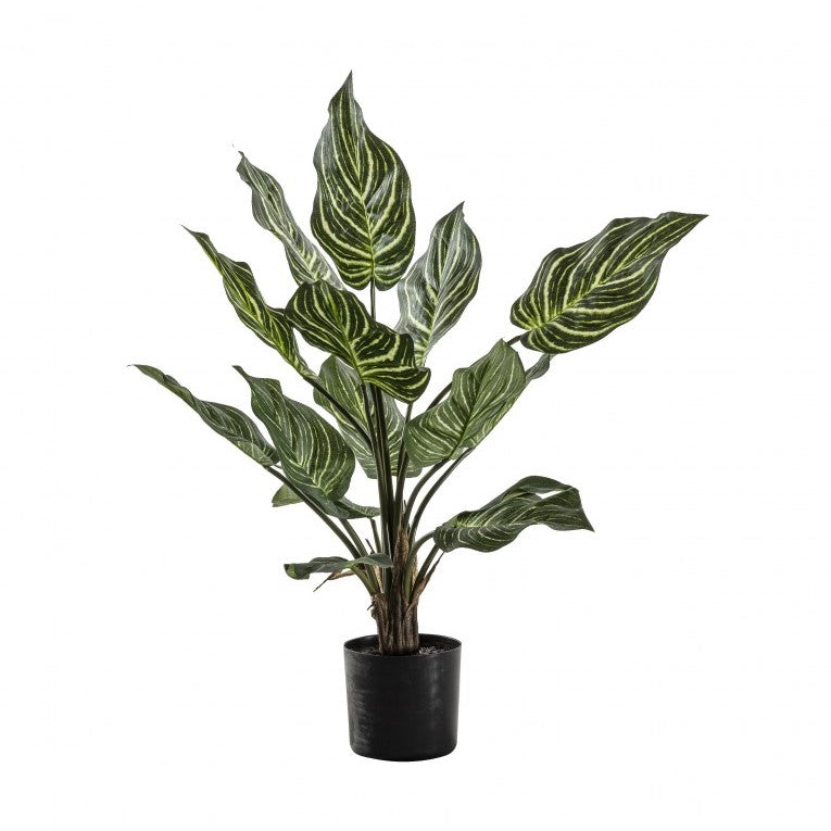 Nature's Artificial Calathea with 15 Leaves