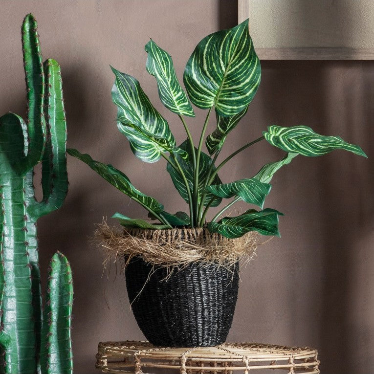 Nature's Artificial Calathea with 15 Leaves