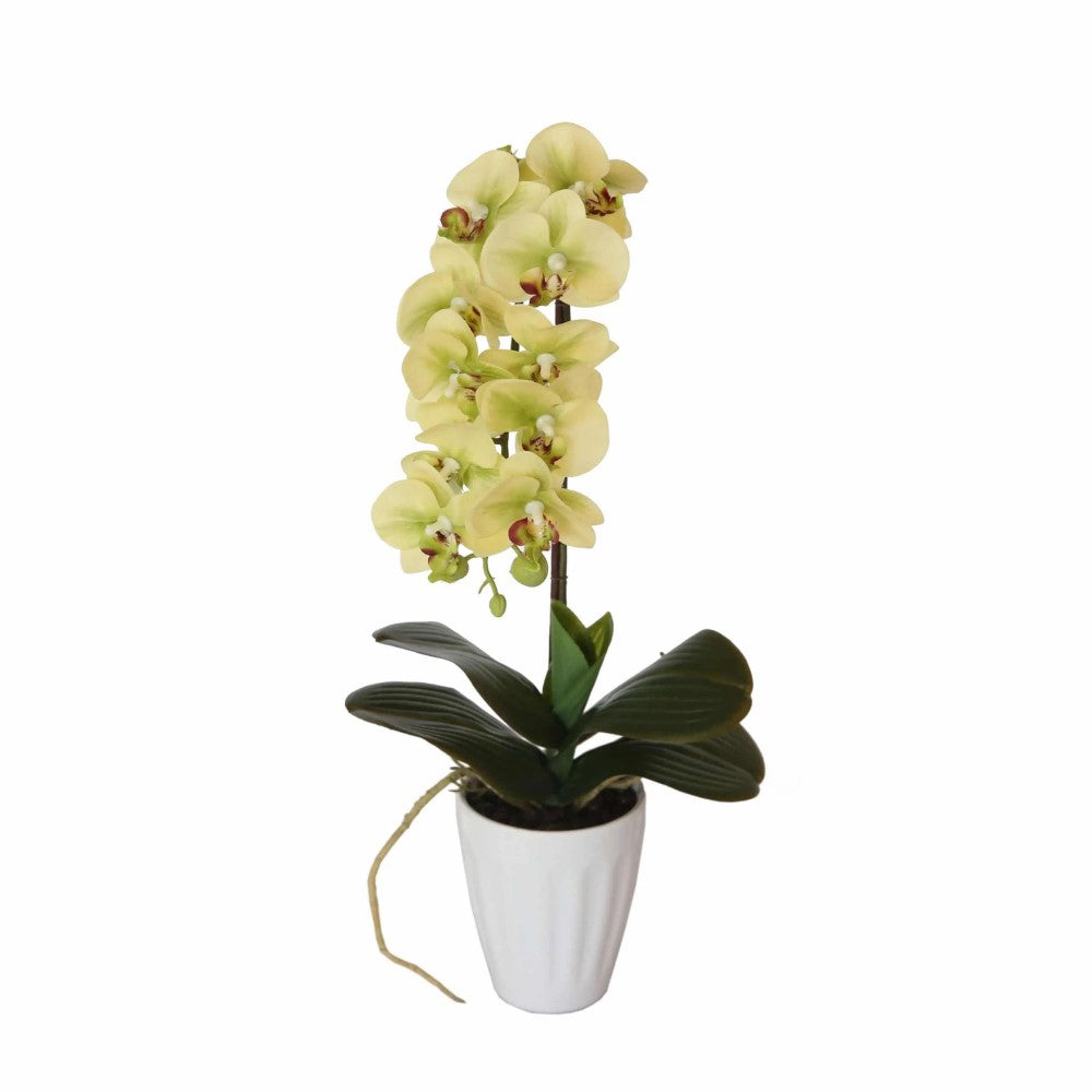No-Water Butterfly Artificial Orchid 19cms