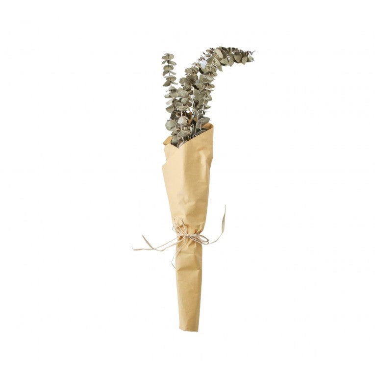 Paper Wrapped Botanical Dried Eucalyptus (Available in 2 Colors)