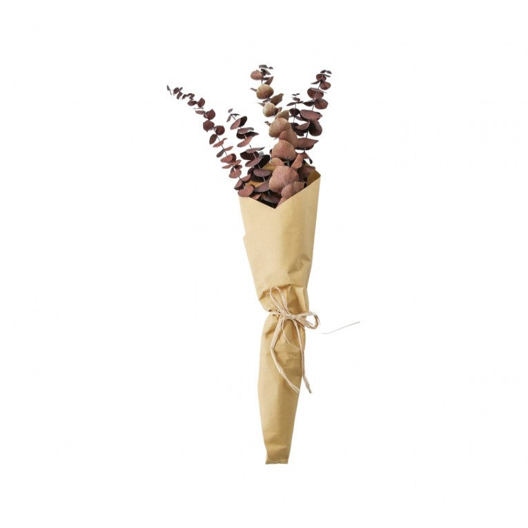 Paper Wrapped Botanical Dried Eucalyptus (Available in 2 Colors)