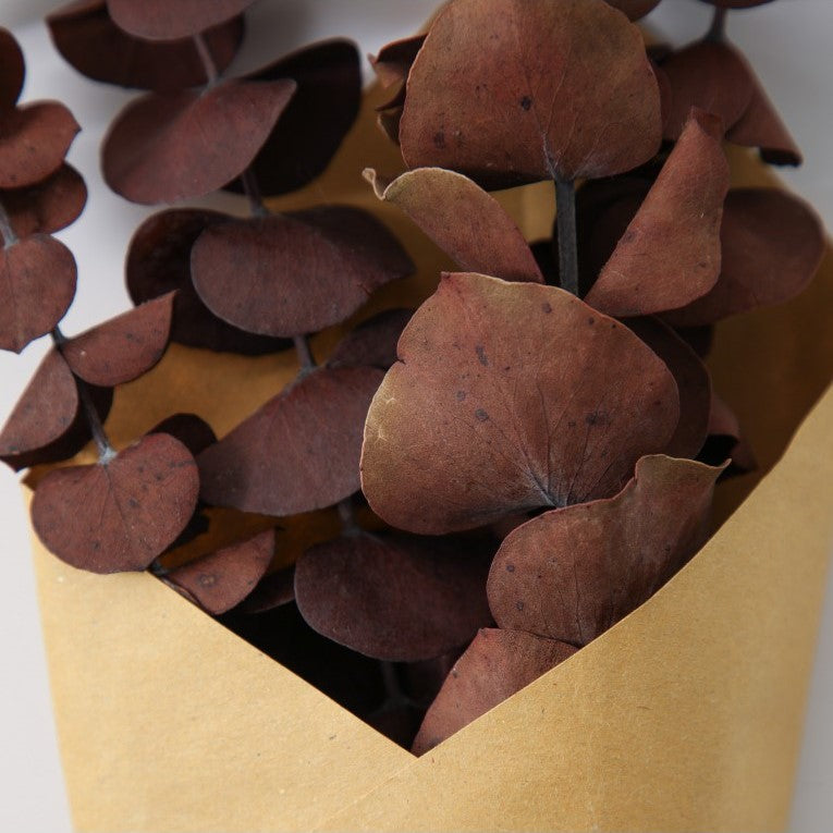 Paper Wrapped Botanical Dried Eucalyptus (Available in 2 Colors)