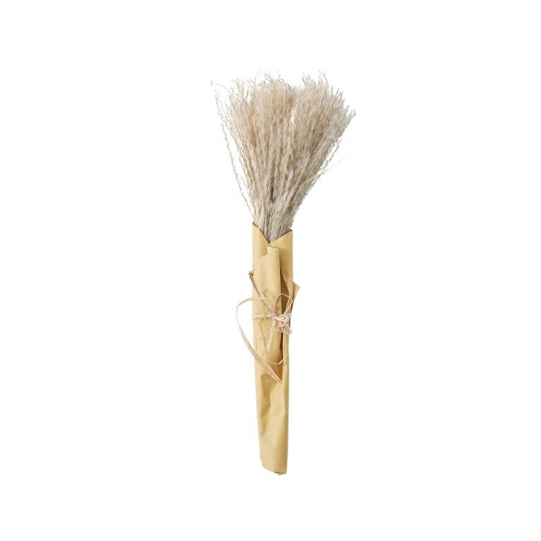 Paper Wrapped Botanical Dried Reed Grass 56cms (Available in 2 Colors)