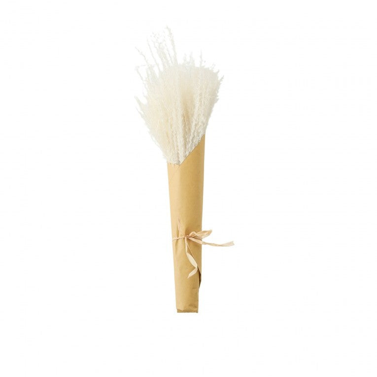Paper Wrapped Botanical Dried Reed Grass 56cms (Available in 2 Colors)