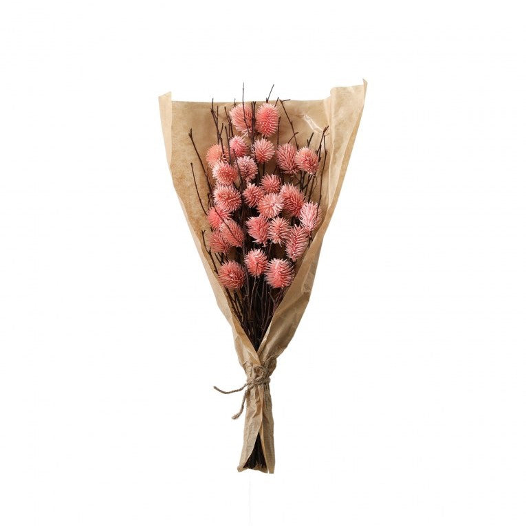 Paper Wrapped Large Botanical Dried Thistle (Available in 4 Colors)
