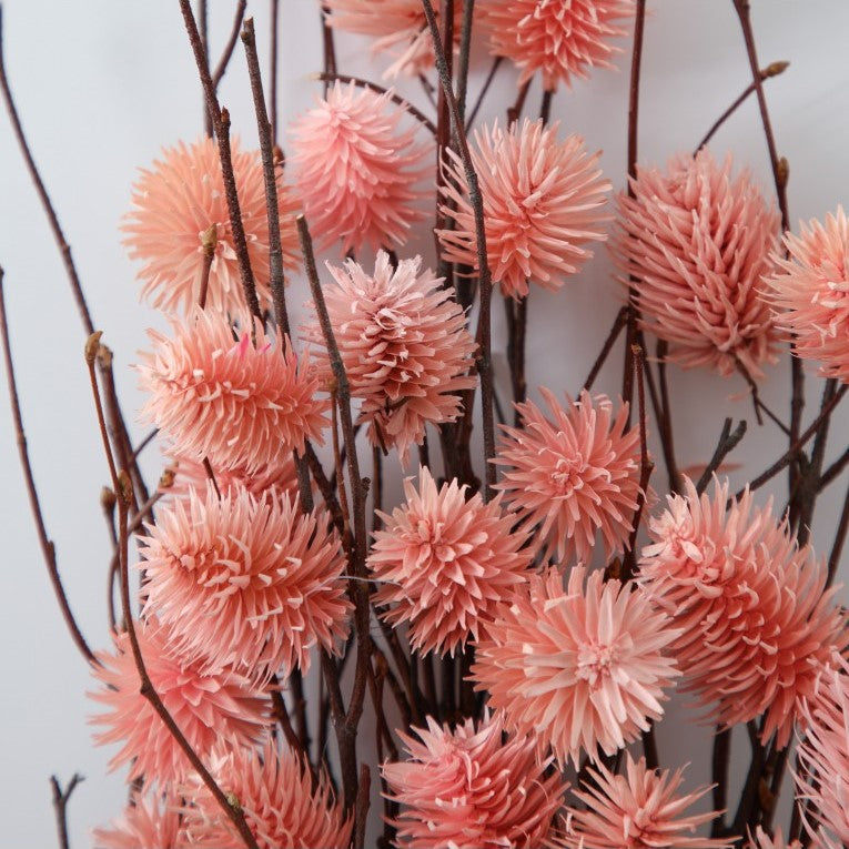 Paper Wrapped Large Botanical Dried Thistle (Available in 4 Colors)