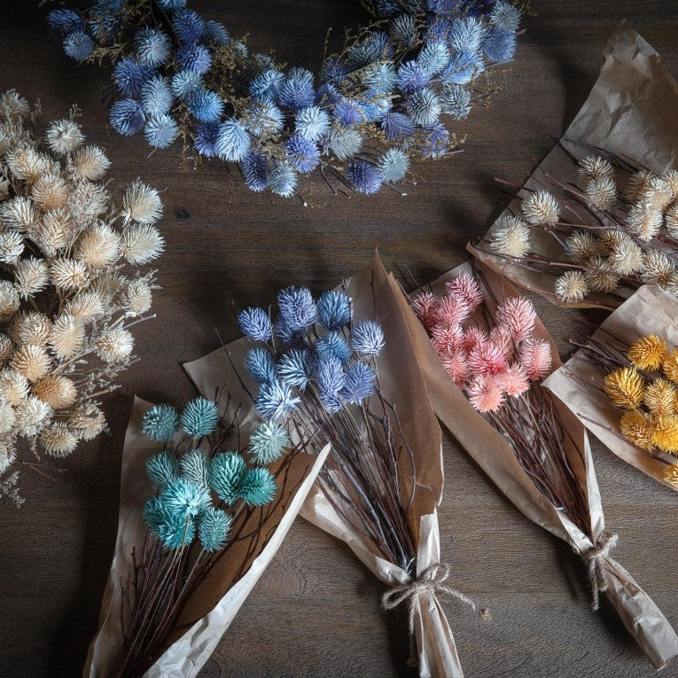 Paper Wrapped Large Botanical Dried Thistle (Available in 4 Colors)