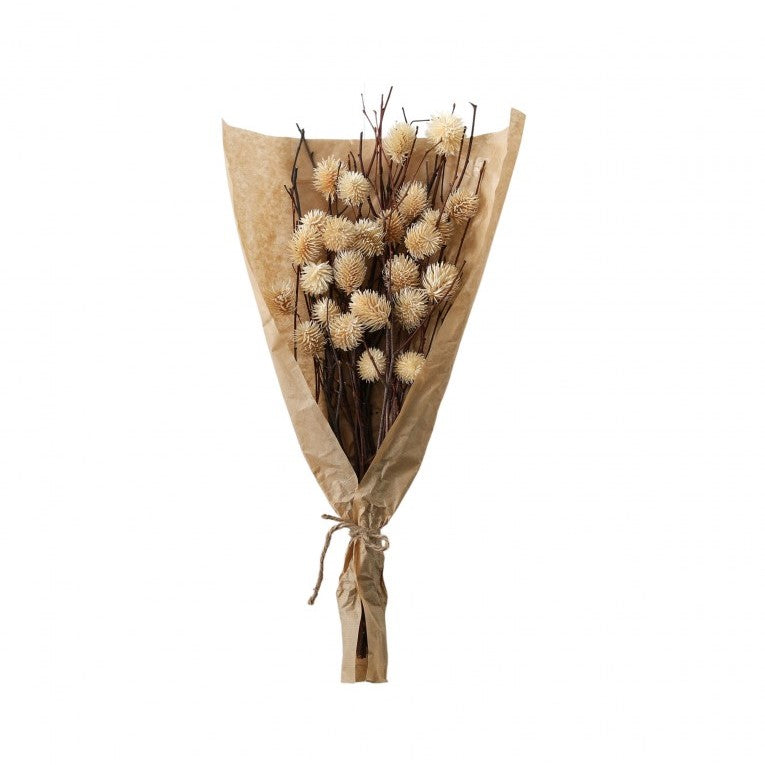 Paper Wrapped Large Botanical Dried Thistle (Available in 4 Colors)