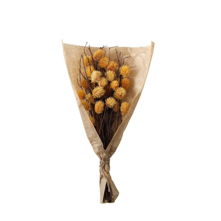 Paper Wrapped Large Botanical Dried Thistle (Available in 4 Colors)