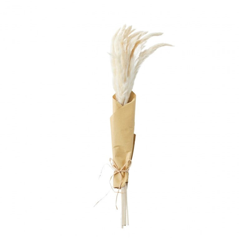 Paper Wrapped Rustic Dried Reed Grass 60cms (Available in 2 Colors)
