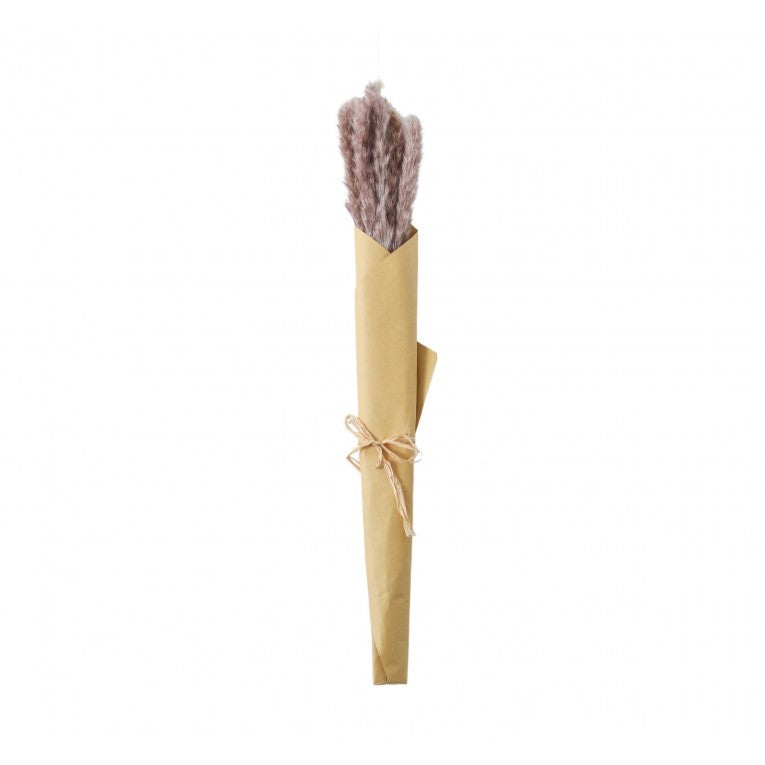 Paper Wrapped Rustic Dried Reed Grass 60cms (Available in 2 Colors)
