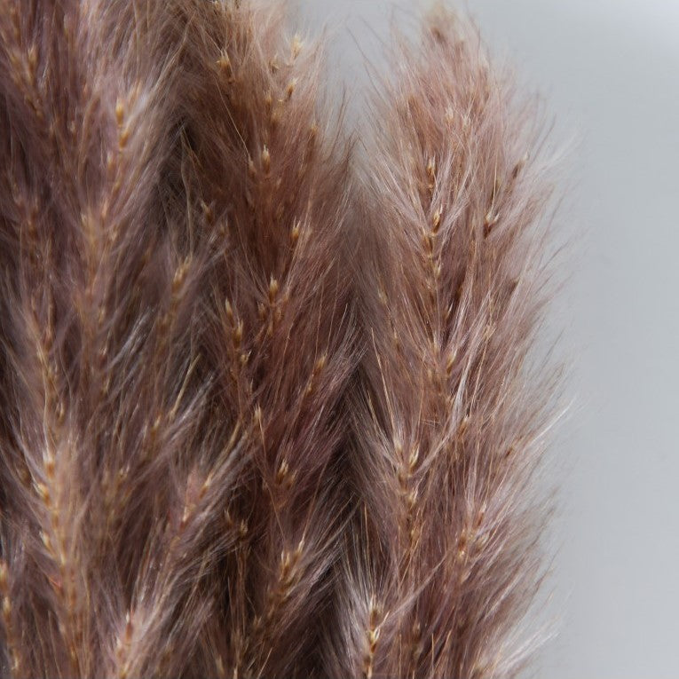 Paper Wrapped Rustic Dried Reed Grass 60cms (Available in 2 Colors)