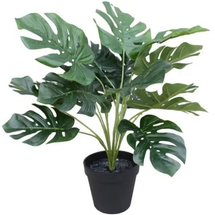 Potted Artificial Split Philodendron Monstera 40cms