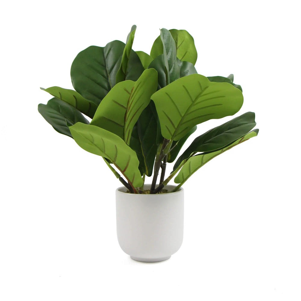 Potted Dense Artificial Fiddle Leaf Fig 37cms