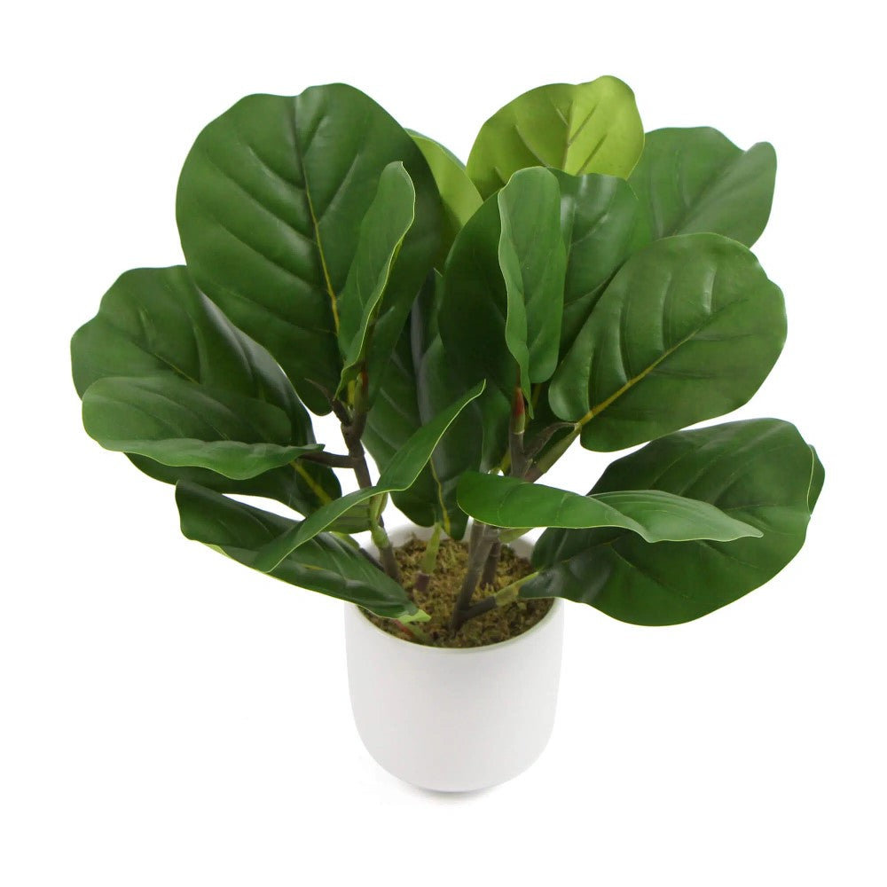 Potted Dense Artificial Fiddle Leaf Fig 37cms