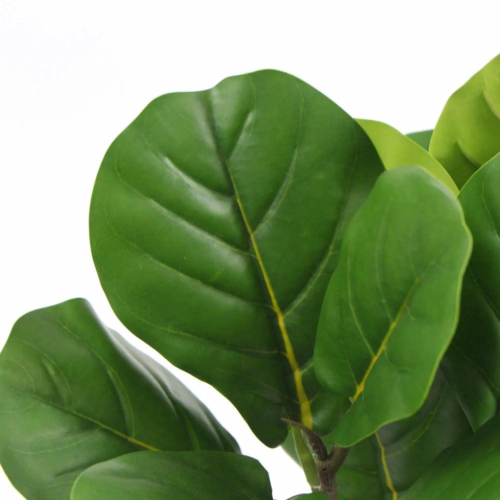 Potted Dense Artificial Fiddle Leaf Fig 37cms