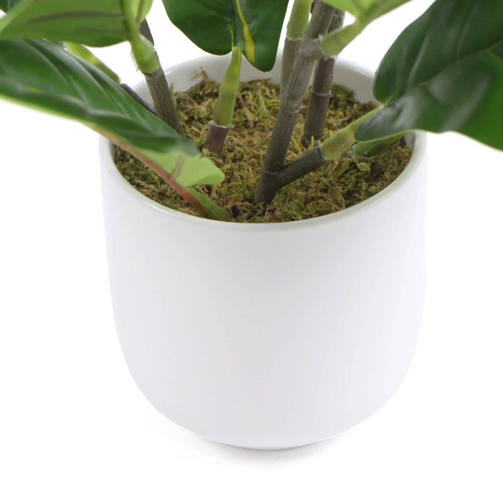 Potted Dense Artificial Fiddle Leaf Fig 37cms
