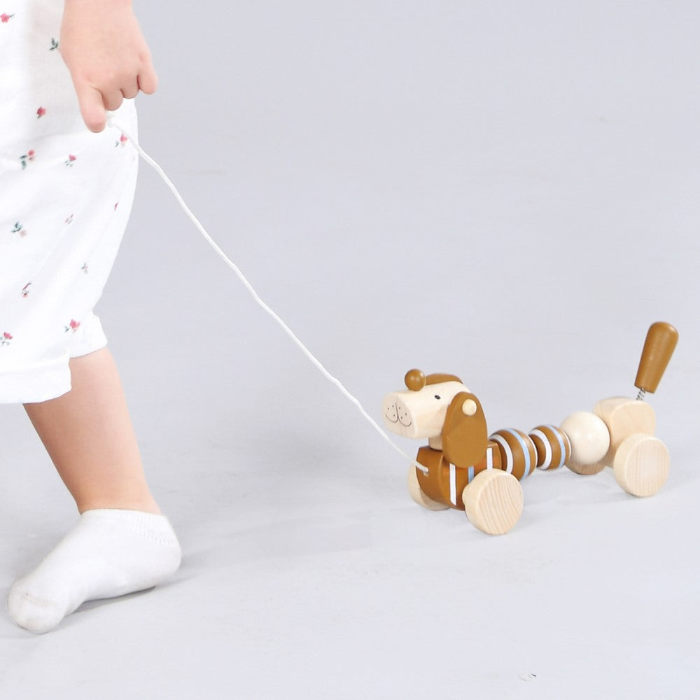 Toddlers' Wooden Pull Along Sausage Dog