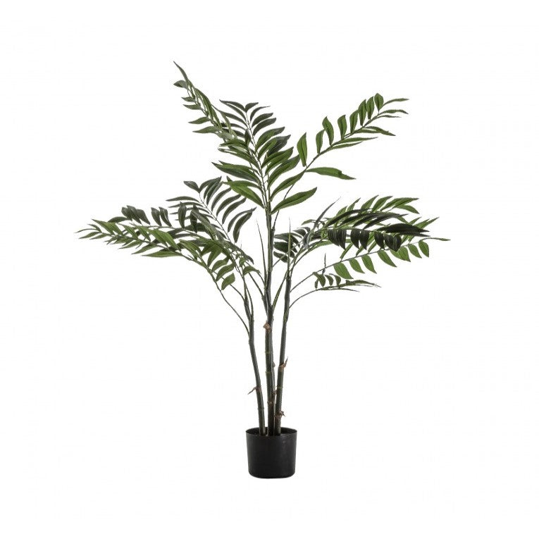 Radiant Areca Palm Tree (Available in 2 Sizes)