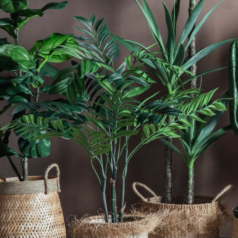 Radiant Areca Palm Tree (Available in 2 Sizes)