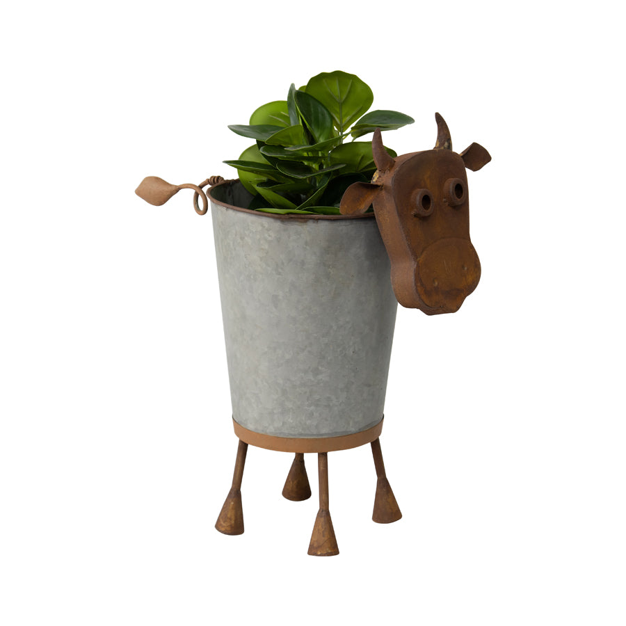 Rusty Cow Planter with Galv Pot - 37cms