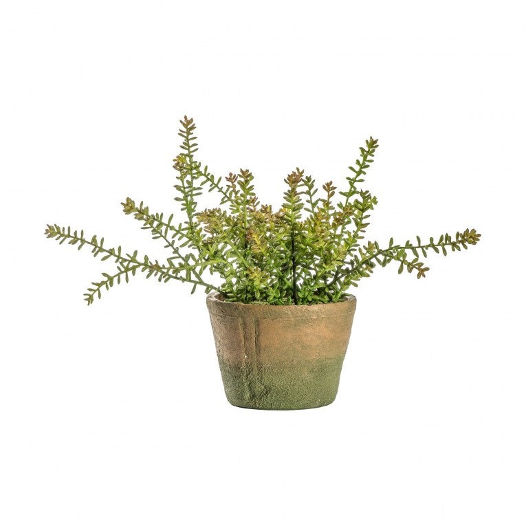 Artificial Sedum Burrito Plant in Cement Pot