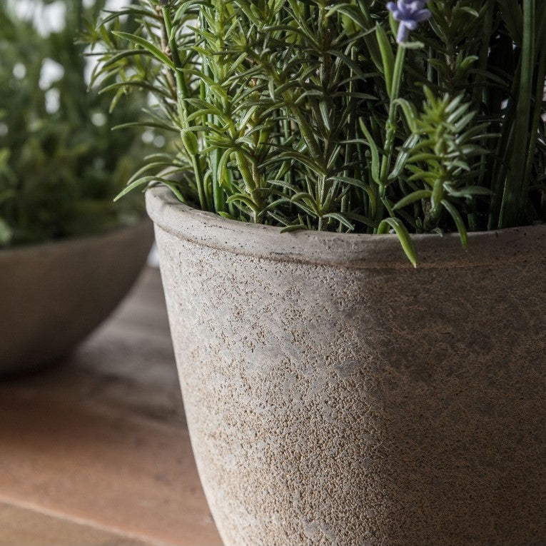 Serene Artificial Lavender in Cement Pot 56cms