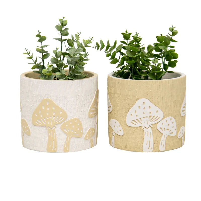 Set of 2 Asst Mushroom Planters with Hole