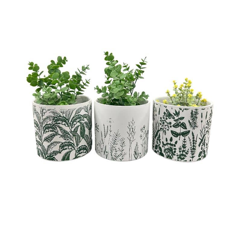 Set of 3 Assorted Tropical Leaf Planters- 16.5x16.5x15cms