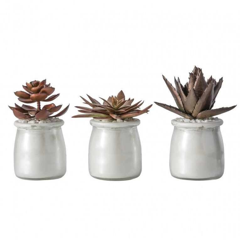 Set of 3 Chic Artificial Succulents in Stylish Pot