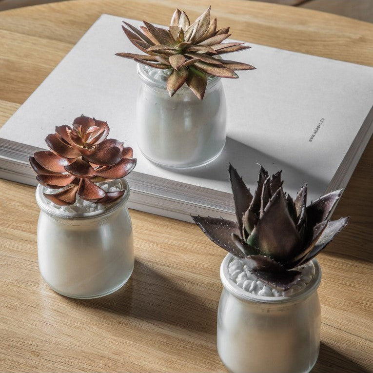 Set of 3 Chic Artificial Succulents in Stylish Pot