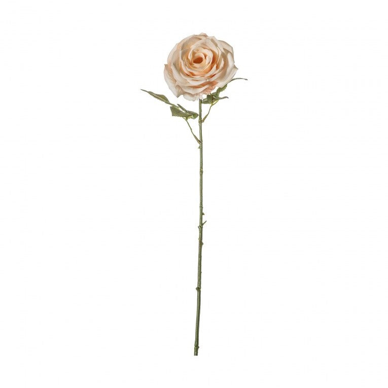 Set of 3 Enchanting Artificial Rose Stems - White/Apricot