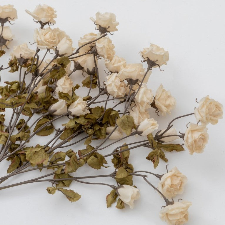 Set of 6 Graceful Dried Rose Spray - Ivory