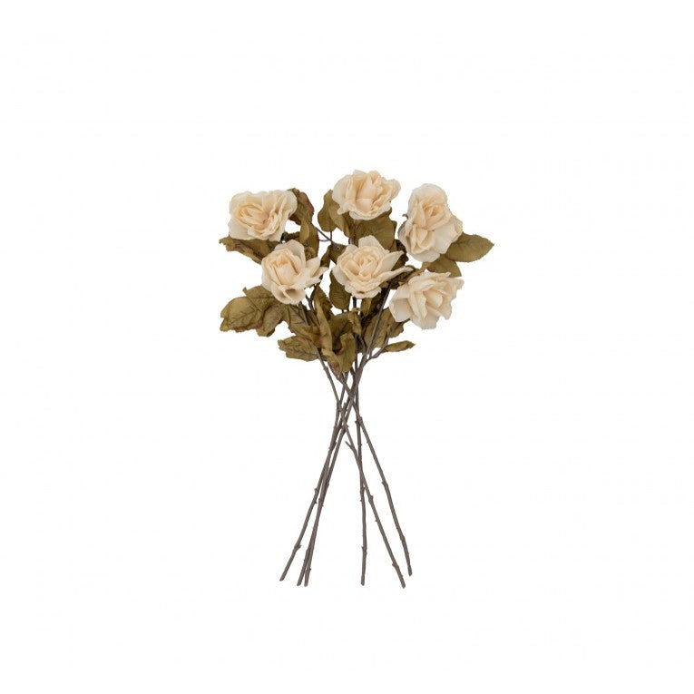 Set of 6 Graceful Dried Rose Stem - Ivory