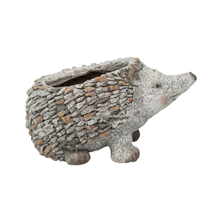 Stony Echidna Planter Hole & Plug - 40cms