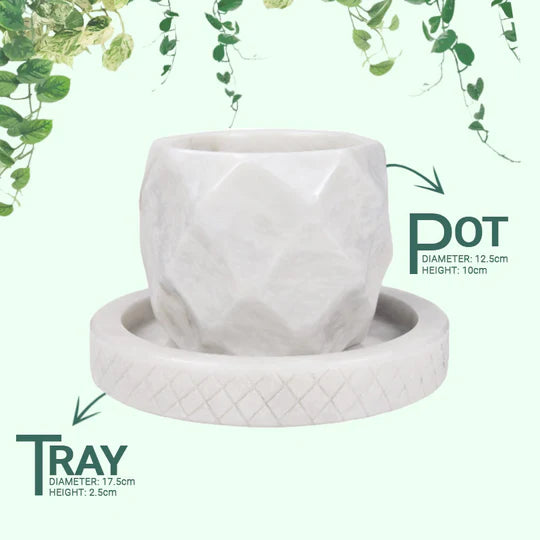 Style Planter Pineapple Design - 10cm (Available in 2 Colors)