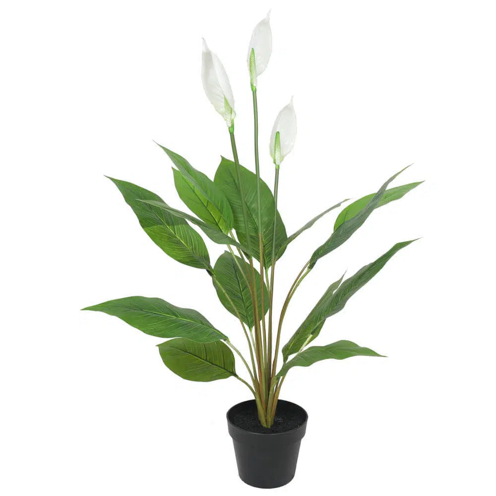 Stylish Artificial Flowering White Peace Lily 95cms