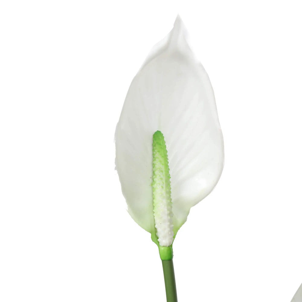 Stylish Artificial Flowering White Peace Lily 95cms
