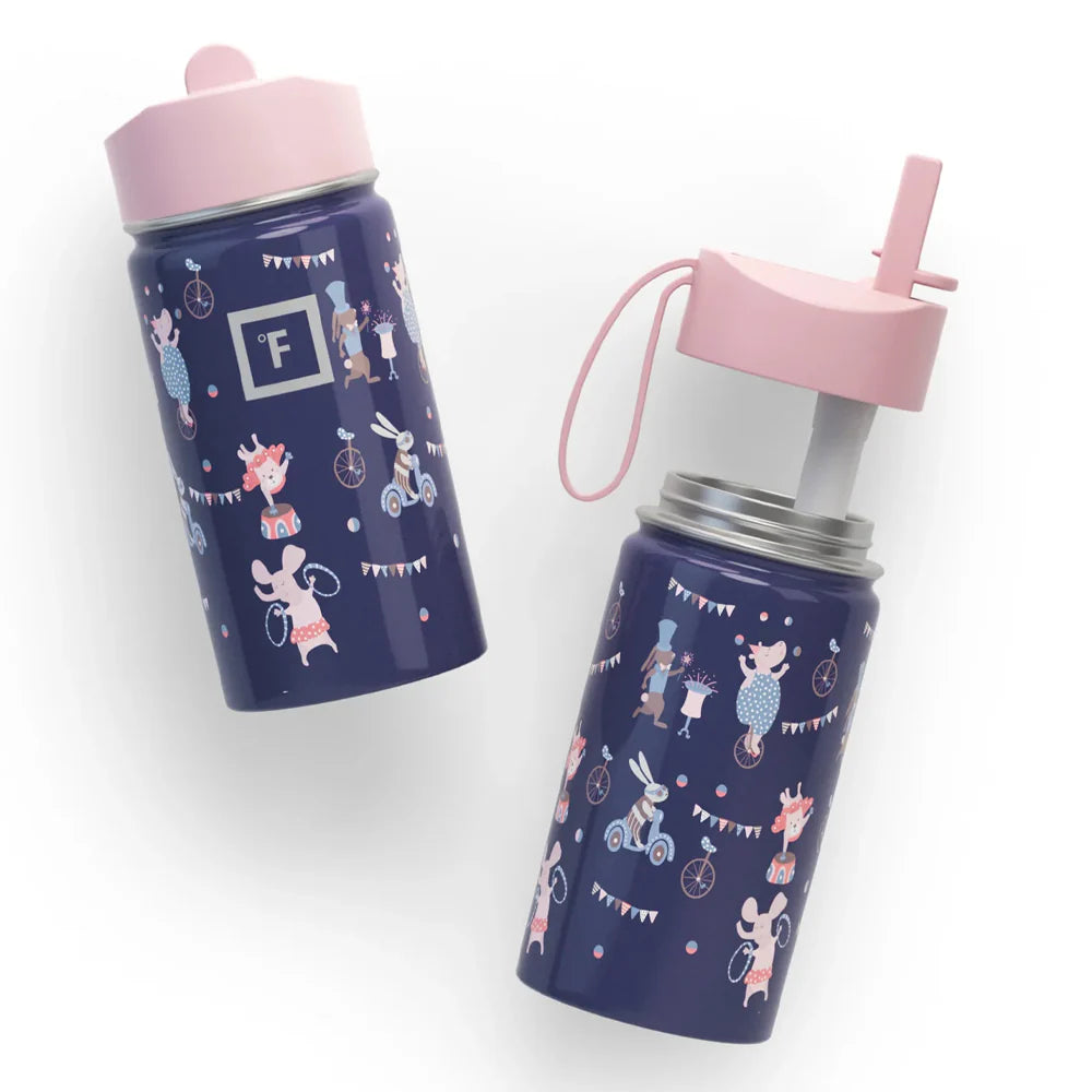 Stylish Iron Flask Kids Water Bottle 415ml - Animals