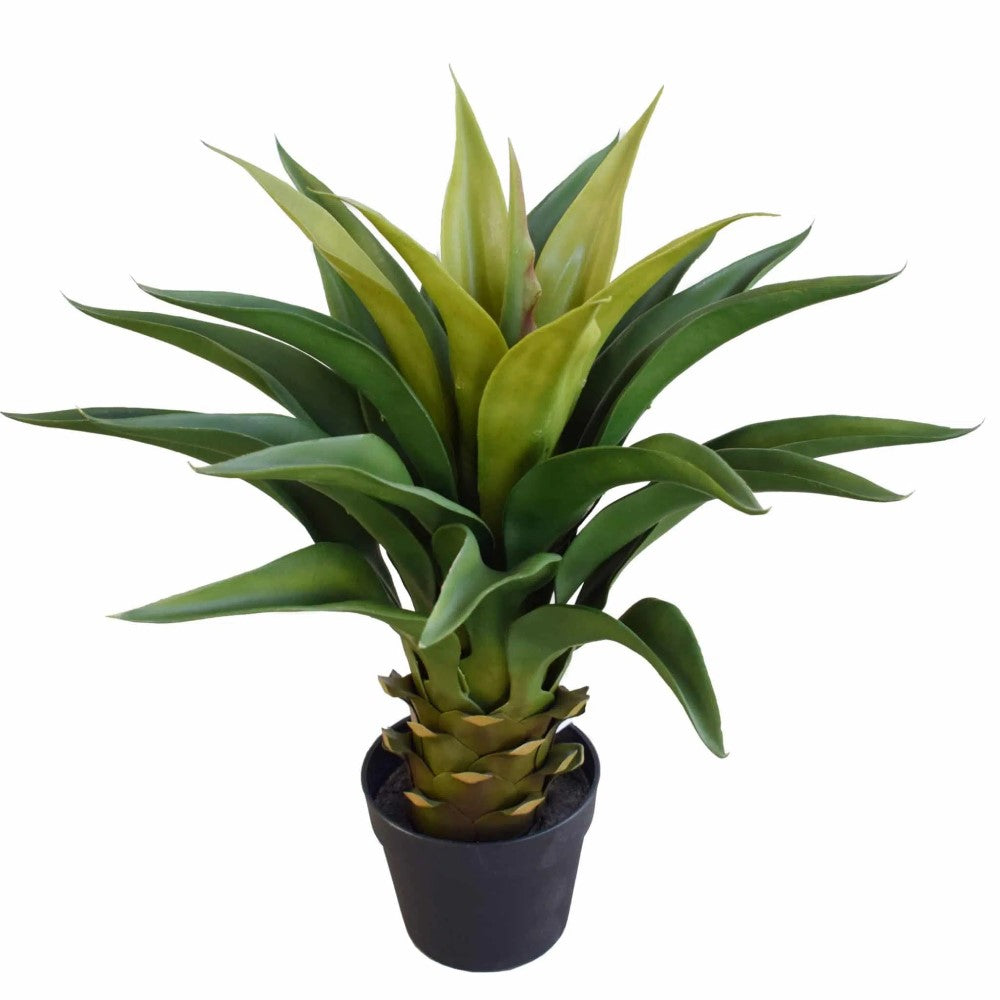 Timeless Artificial Agave Plant 60cms