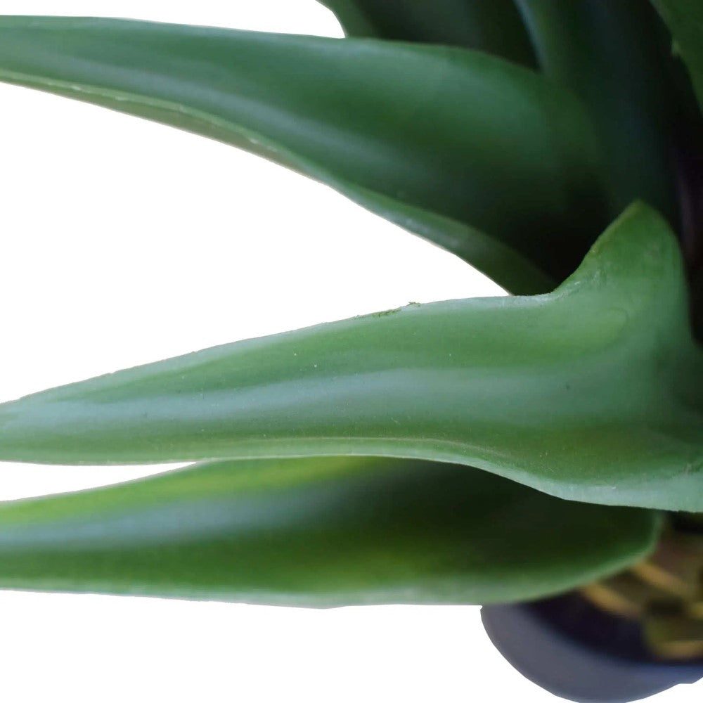 Timeless Artificial Agave Plant 60cms