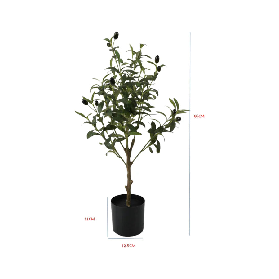 Timeless Charm Artificial Olive Tree 60cms
